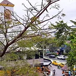 Estudio Vida Cerca A Laureles