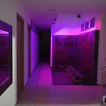 Hotel Golden 45