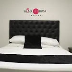Hotel Palma Rosa Medellin