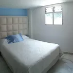 Icon Suites