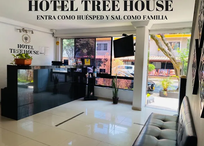 Hotel Tree House Medellin