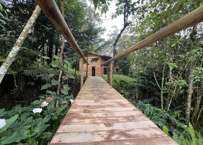 Cabin In The Woods