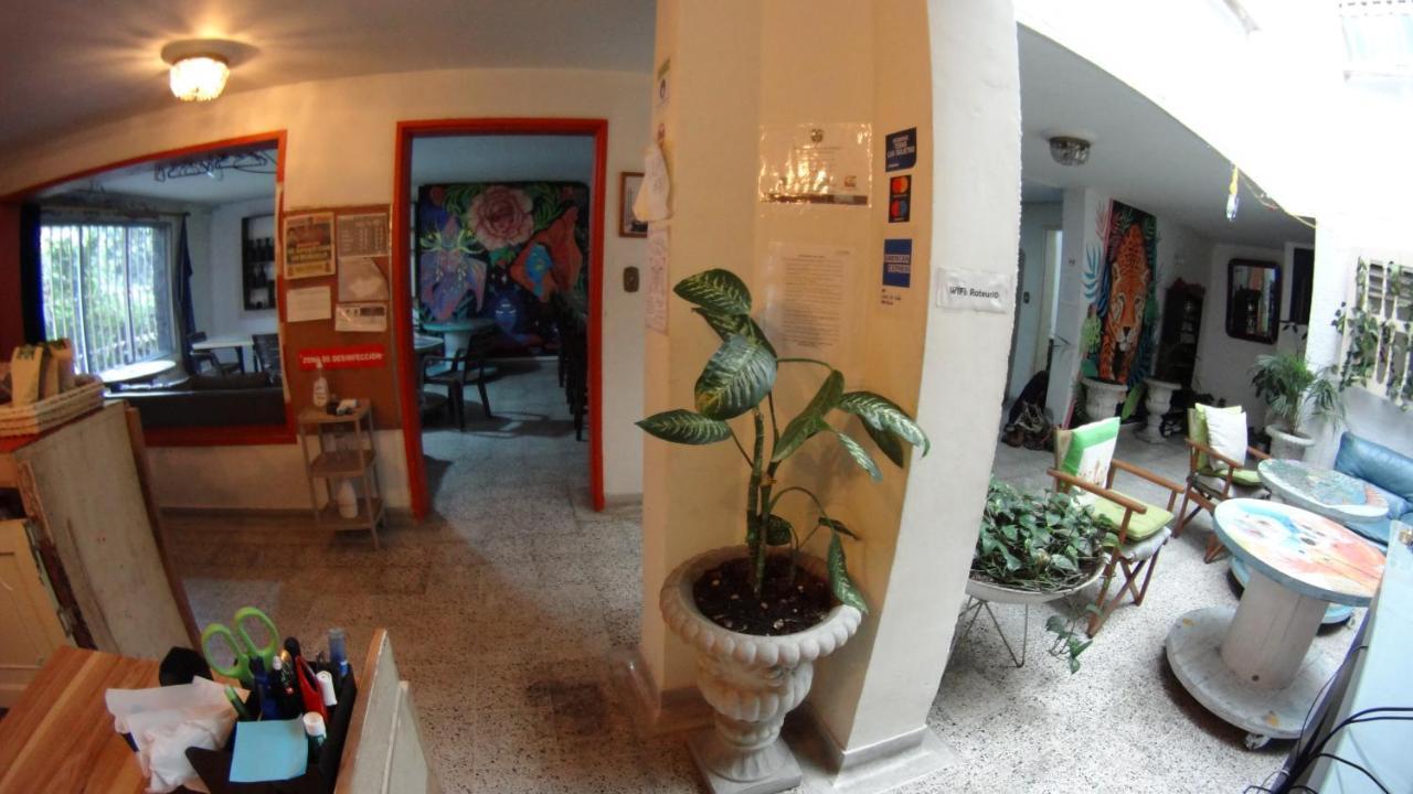 Básico Medellín Hostel