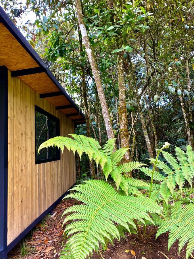 Сasa de vacaciones Plantae Ecolodge *