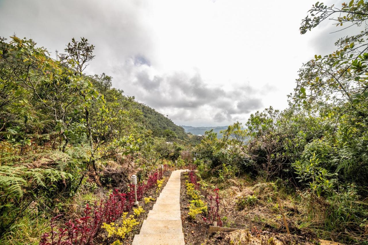 Cerro Mirador * Medellín
