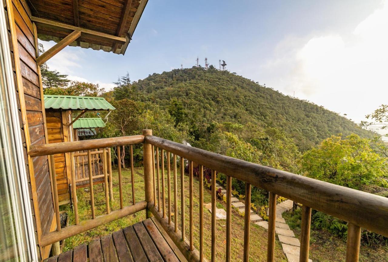 Camping Cerro Mirador