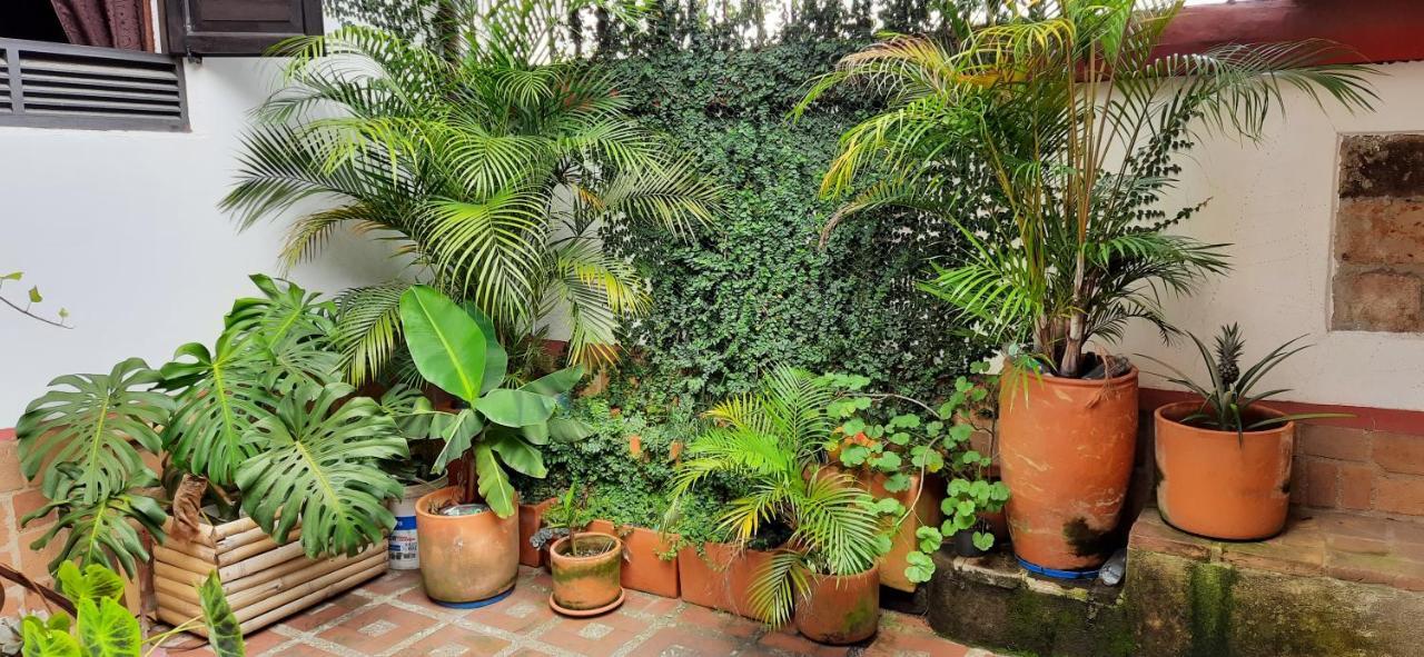 Guest house Del Prado *