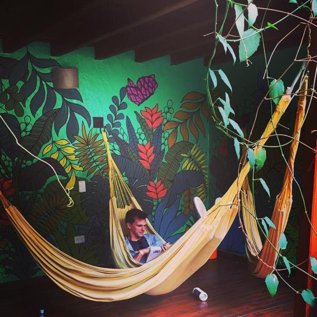 Casa Kiwi *