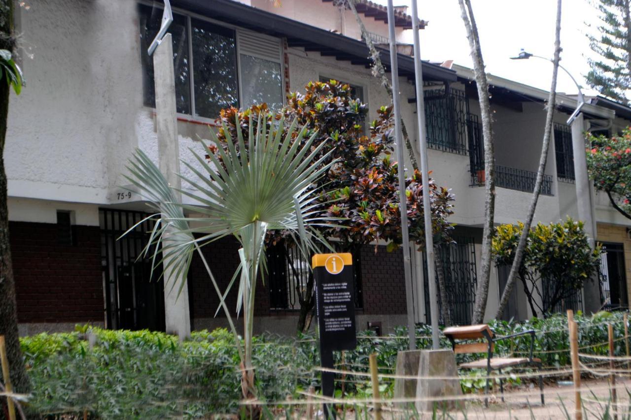 Sector Estadio *