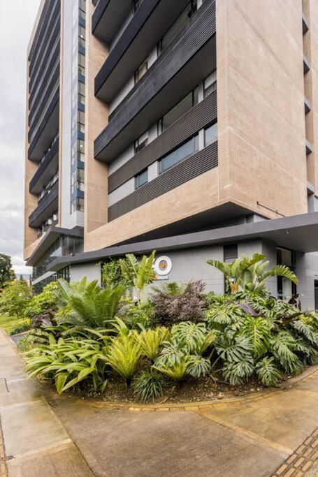 - Go Living & Suites
