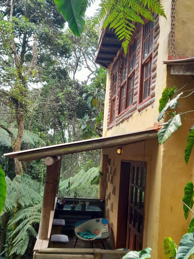 Botanico * Medellín