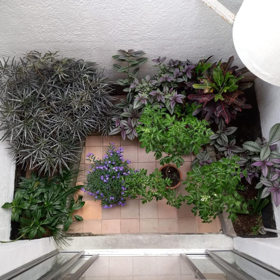 Casa De Lola *