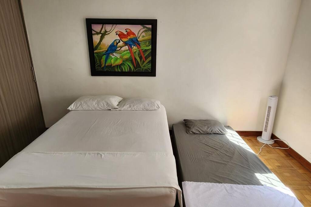 Royal Park Laureles - Zona Rosa Apartamento *