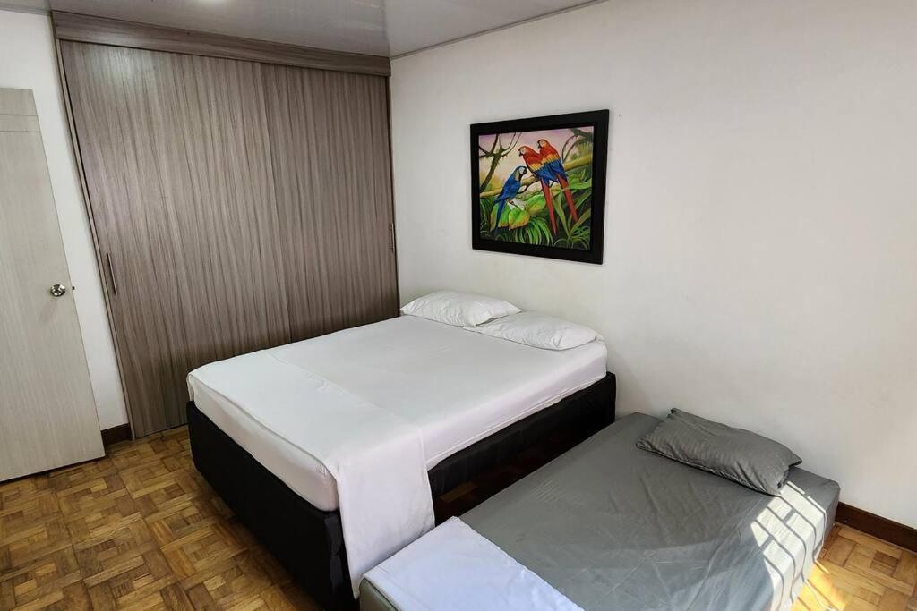 Royal Park Laureles - Zona Rosa *