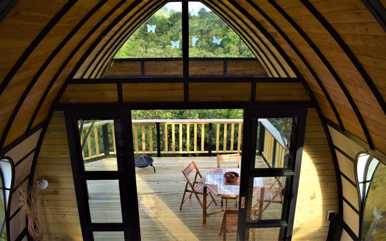 Chalet Petit Verdot *