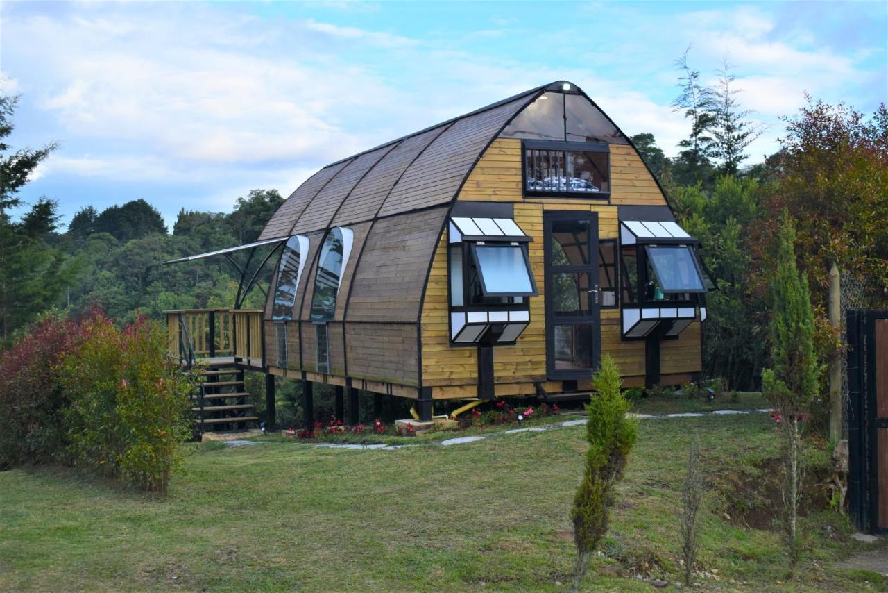 Petit Verdot Medellín