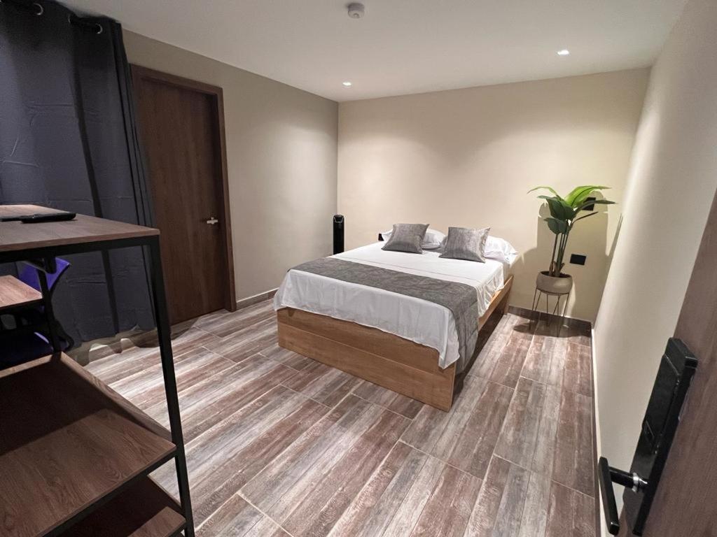 Indigo Hostal *