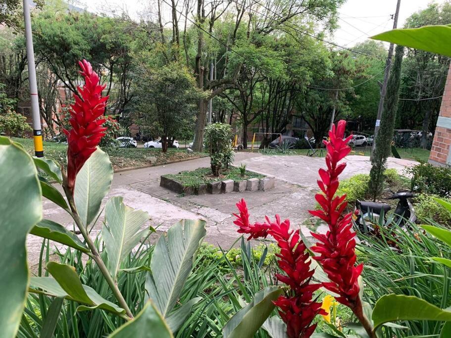 Apartamento Acogedor Urbanizacion Tricentenario Medellín