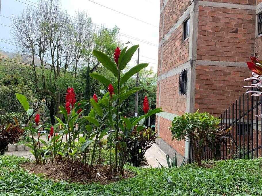 Apartamento Acogedor Urbanizacion Tricentenario