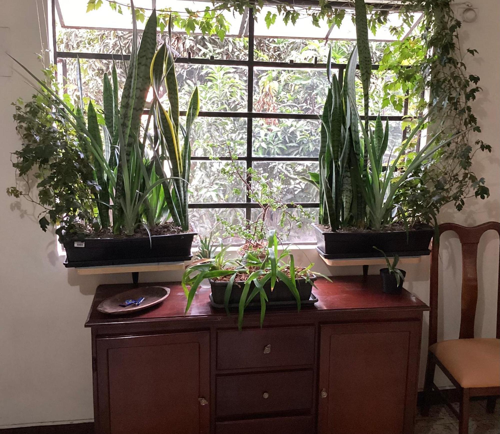 Manila Su Casa *