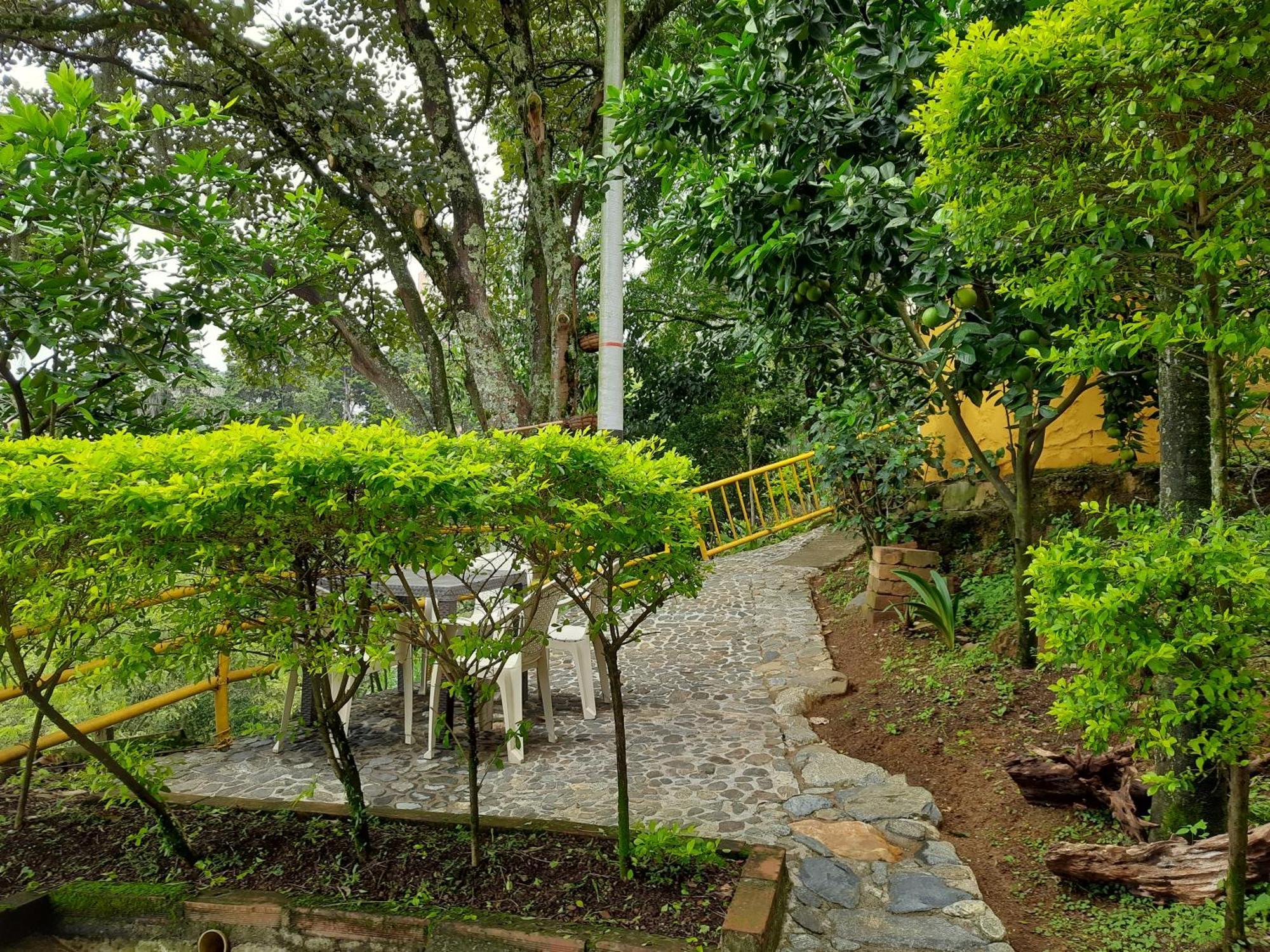 Apartamento Campestre
