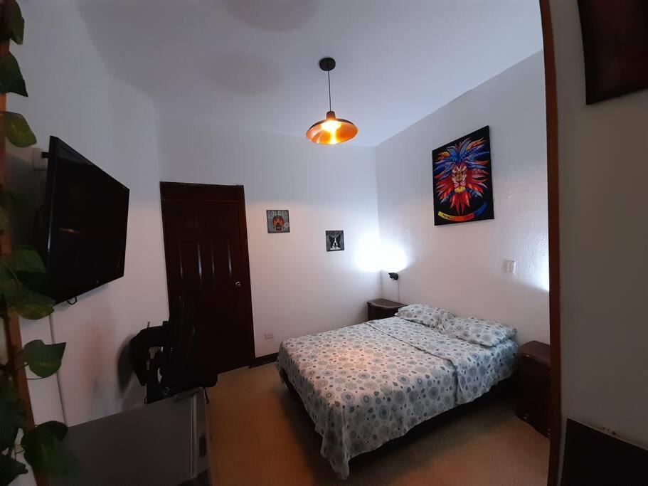 Guadalupe 104
