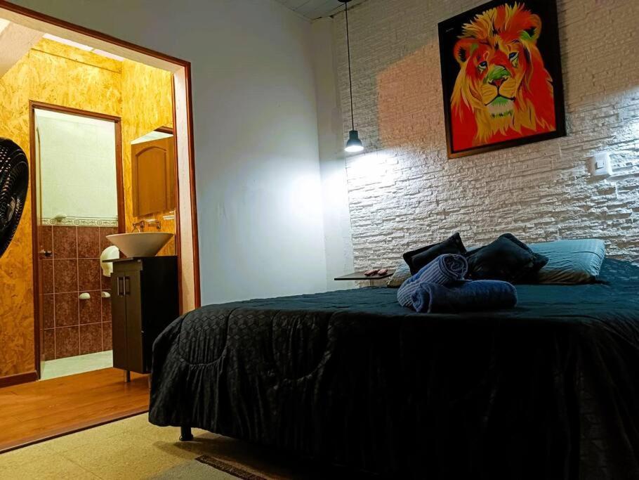 Guadalupe 103 *