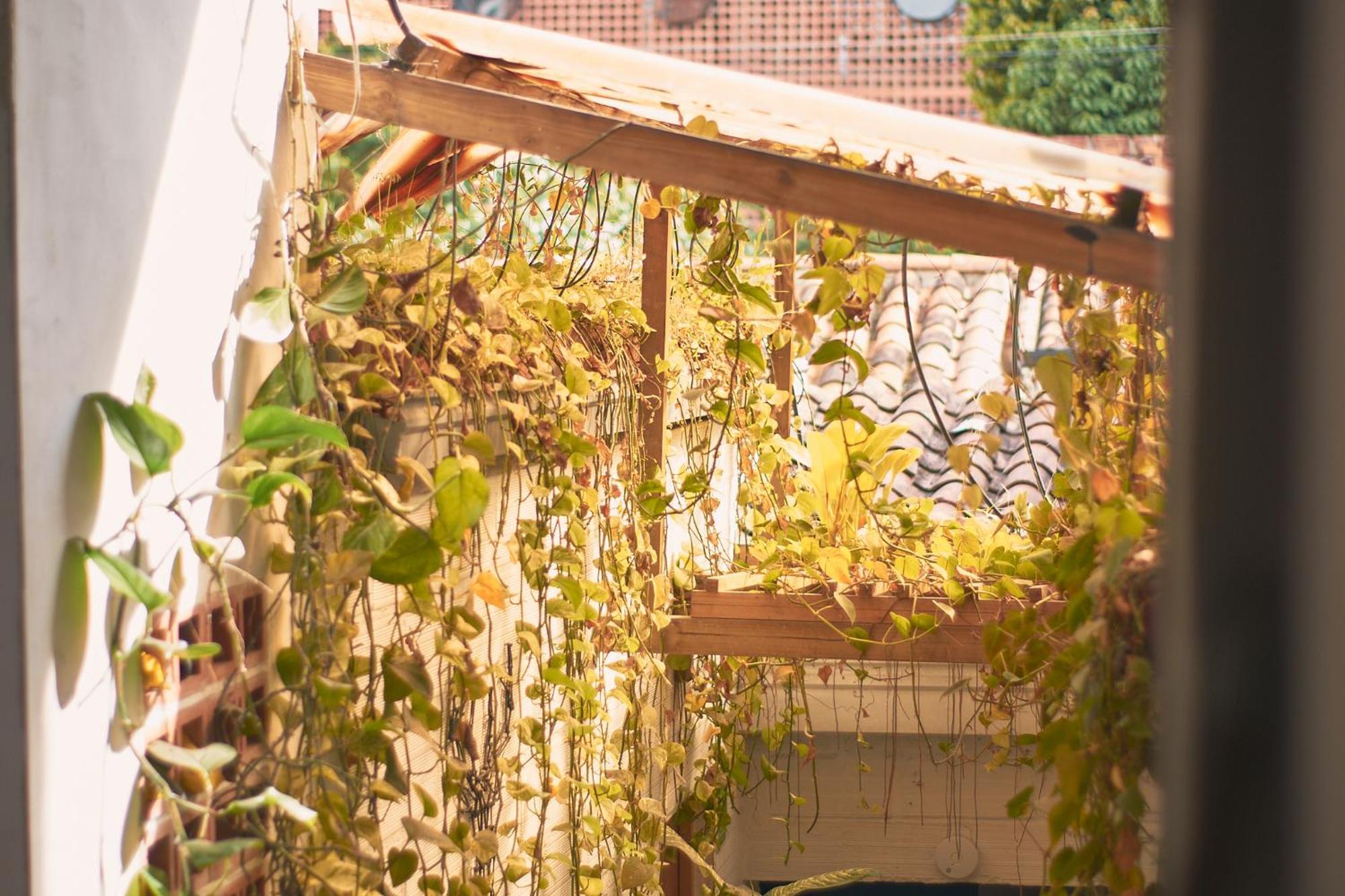 Casa Estación Y Restaurante *