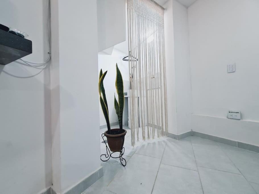 Apartamento Comfy Loft In Laureles *