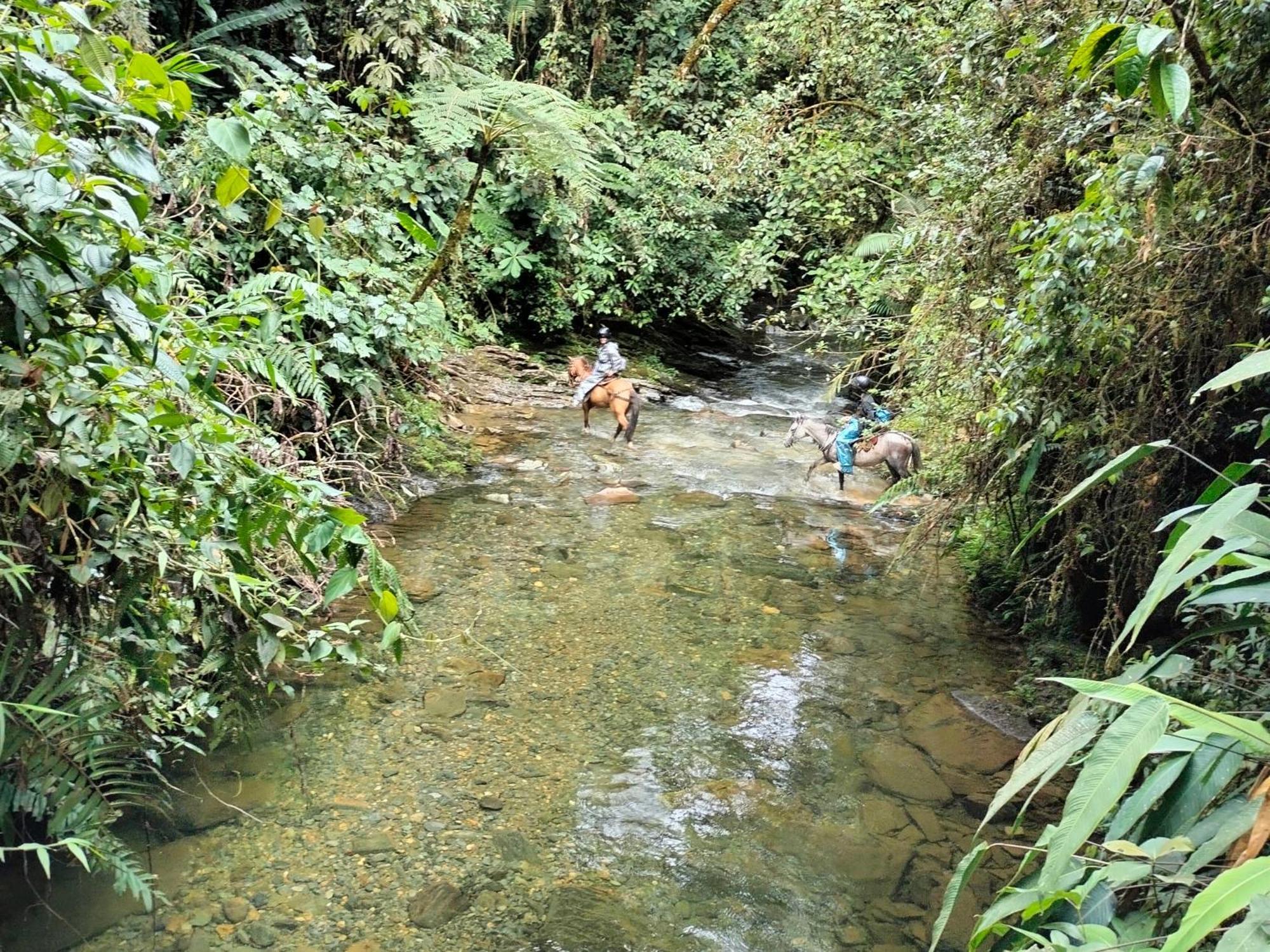 Sierra De Viboral Adventures *