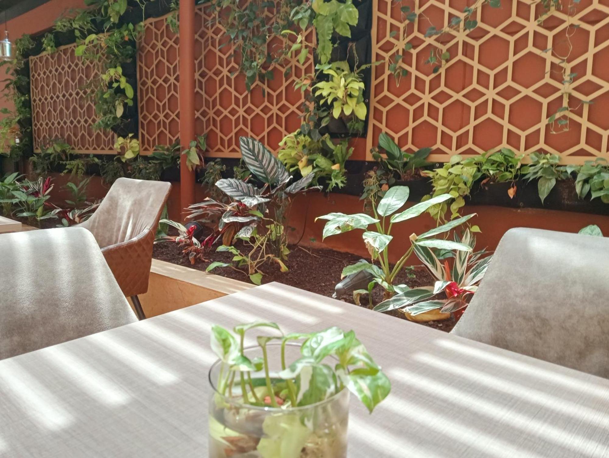 Lomas 10 By Dico Hotel 4*