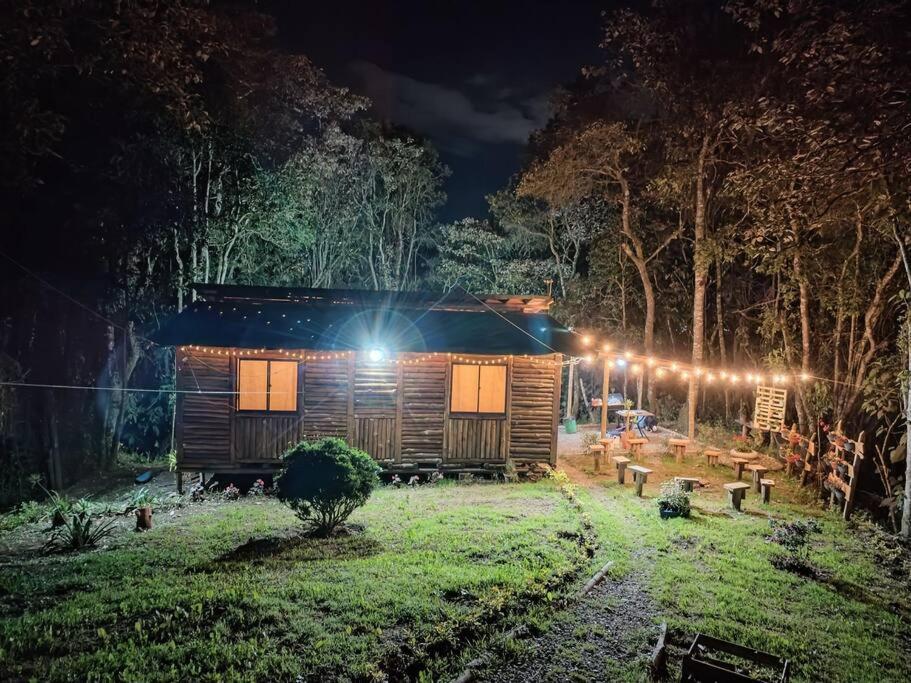 Canela Santa Elena -