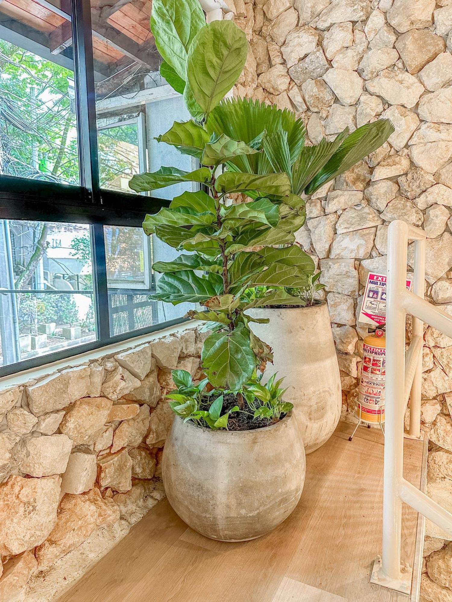 Casa Lezzet Apartamento *