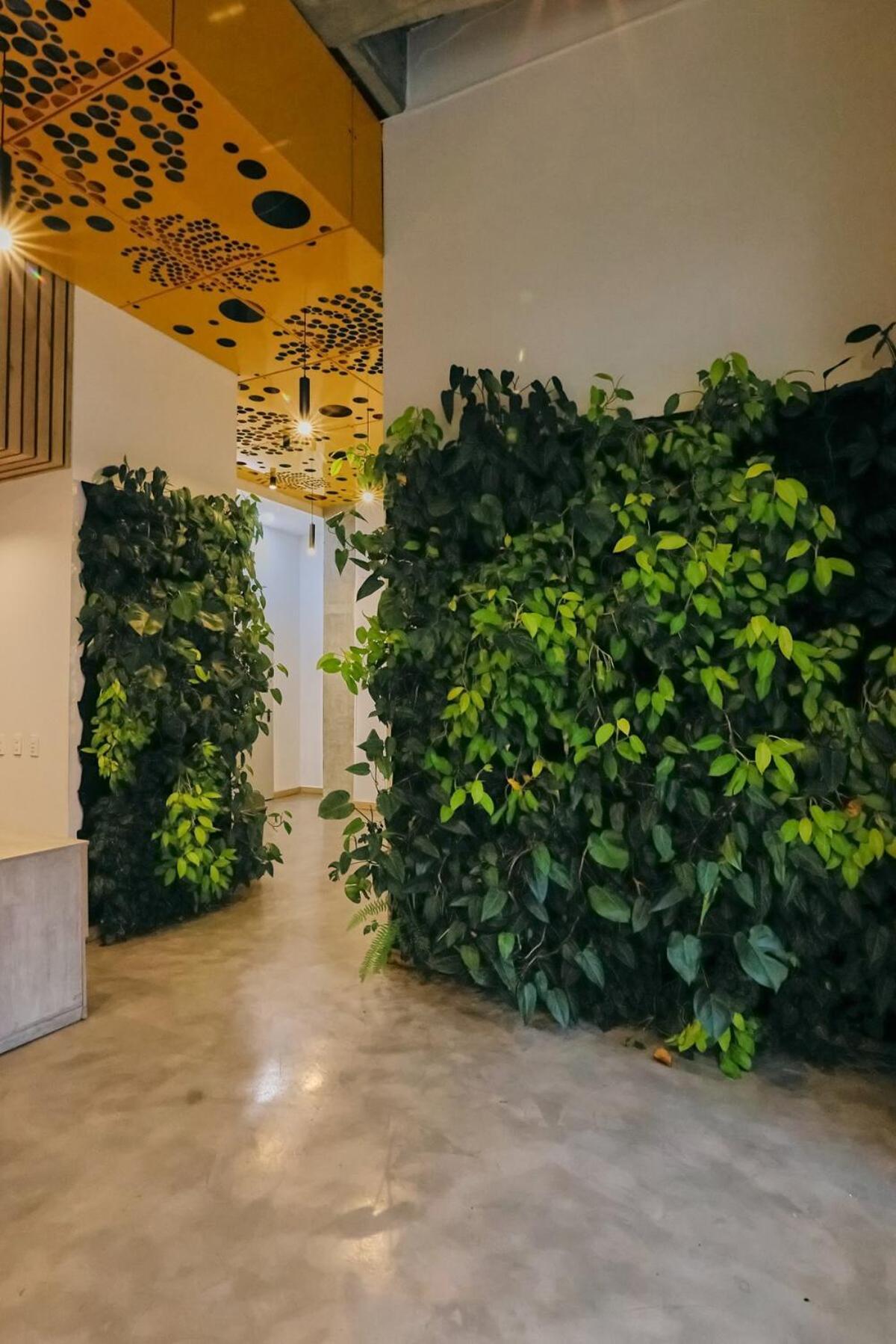 Apartment Modern Skyline -wifi, Gym, 24hr Security Medellin