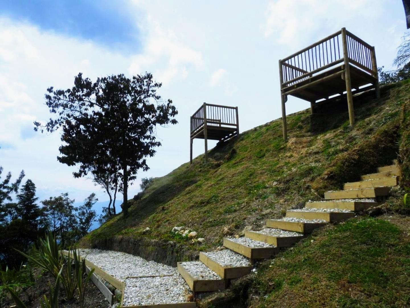 Ecoverso Del Bosque