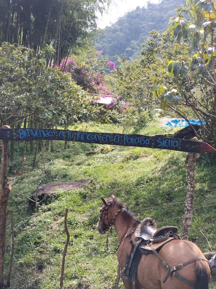 Campo de lujo Sierra De Viboral Adventures Medellín