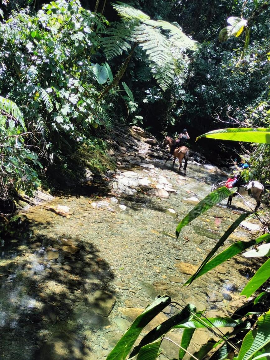 Sierra De Viboral Adventures Medellín