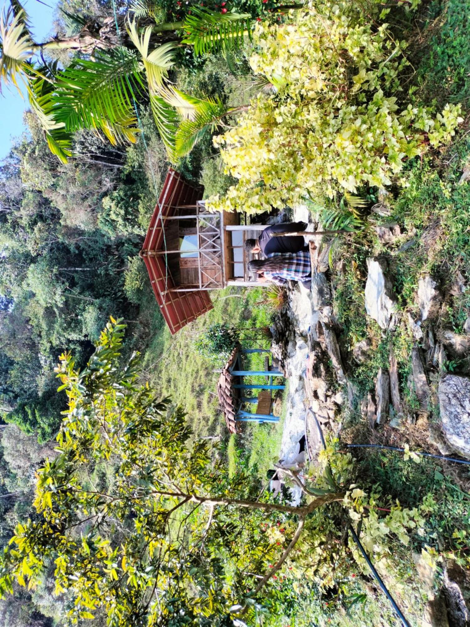 Sierra De Viboral Adventures *