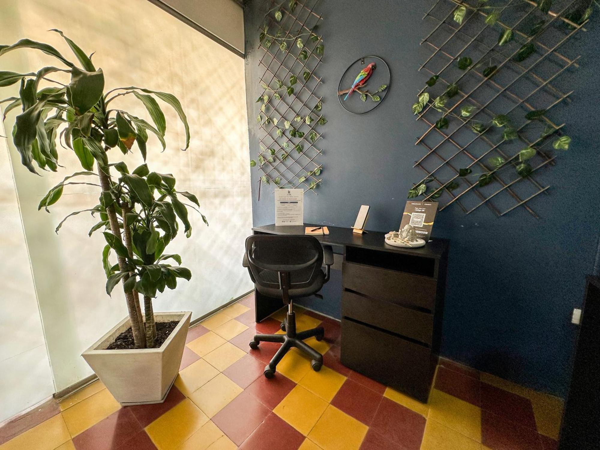 Casa Encanto, - Habitaciones, Laureles-america * Medellín