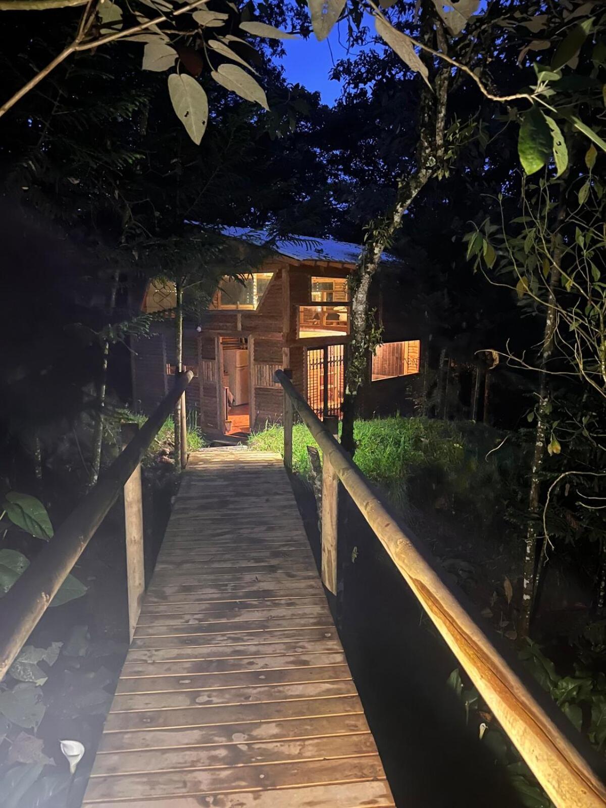In The Woods Chalet