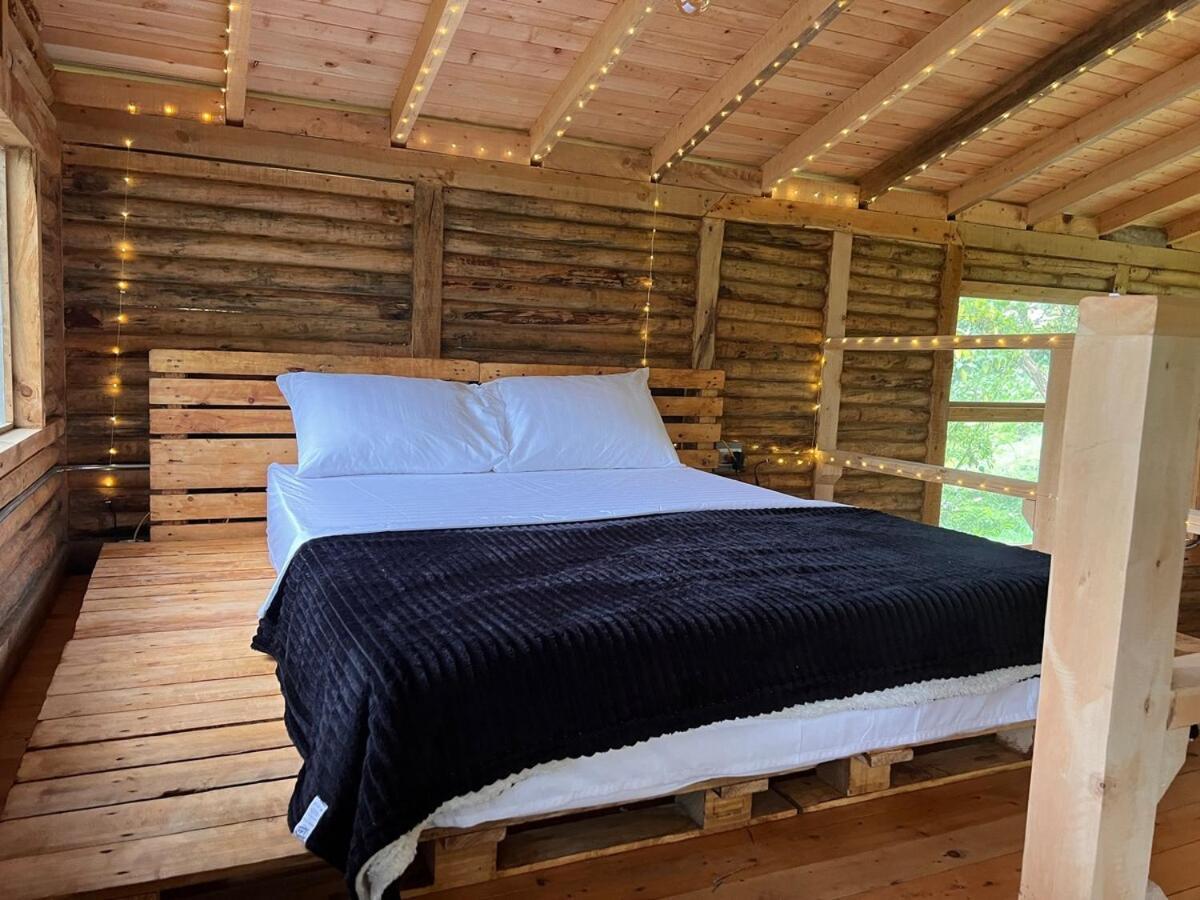 In The Woods Chalet *