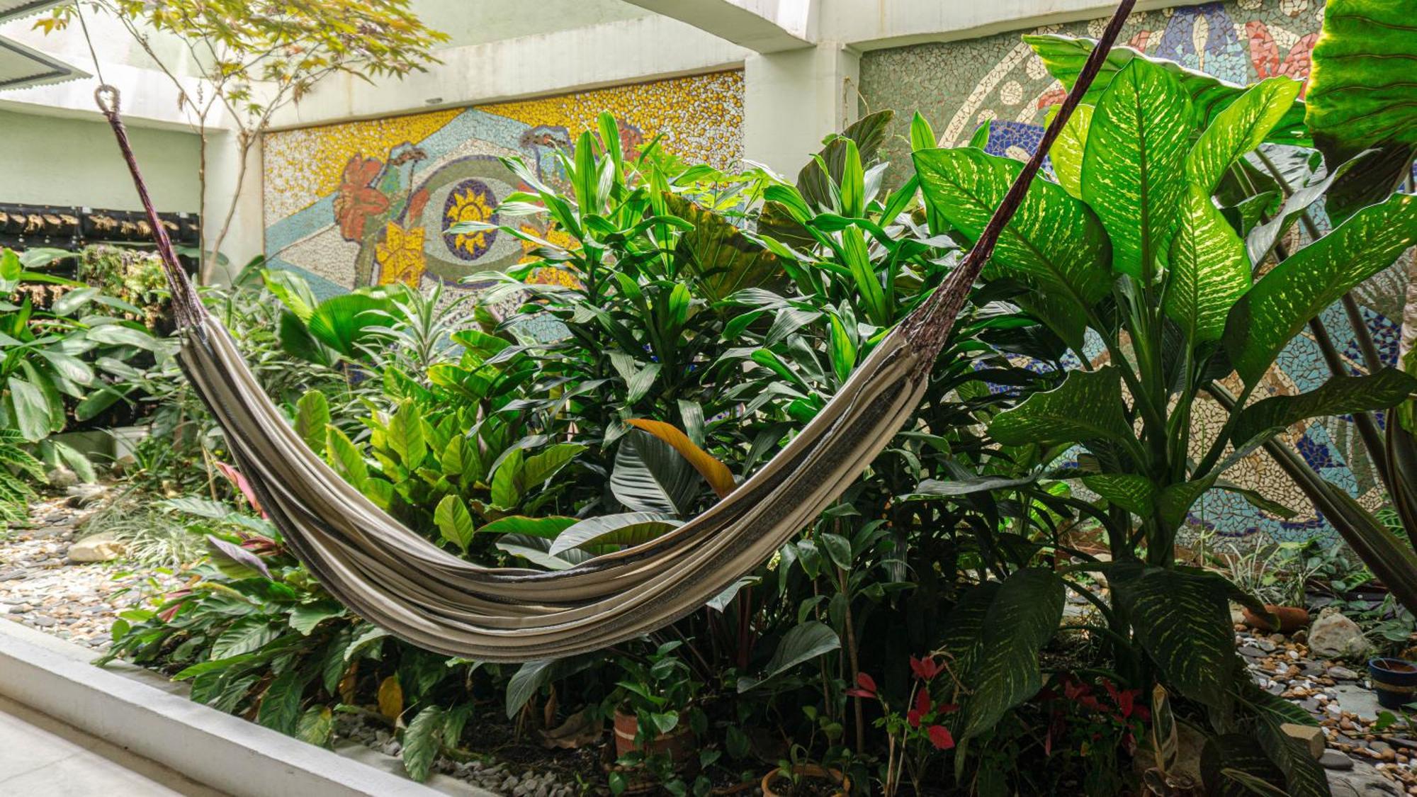Selva House *