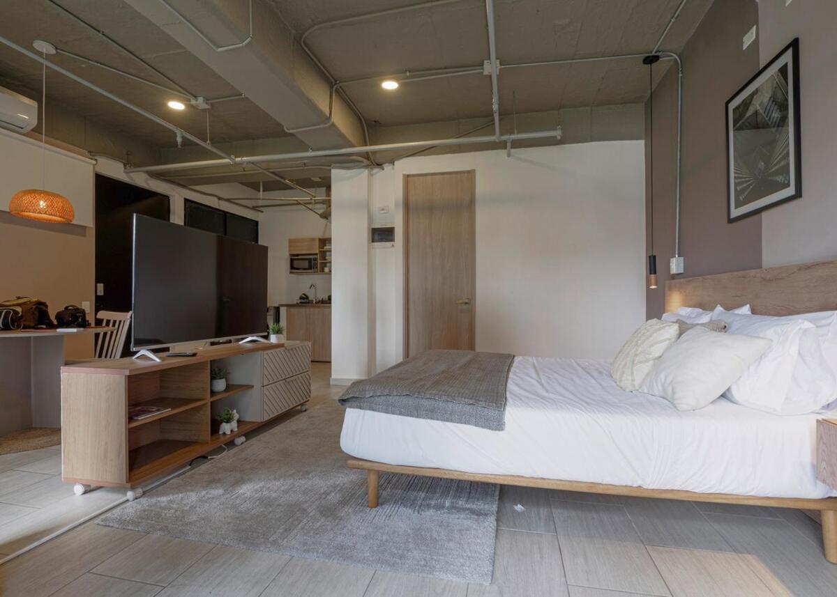 Apartamento Cozy And Bright Loft In Laureles Medellín