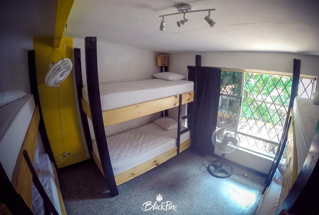 Hostal Blackpine *