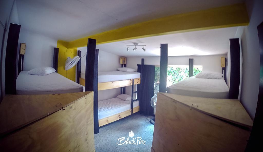 Hostal Blackpine Medellín