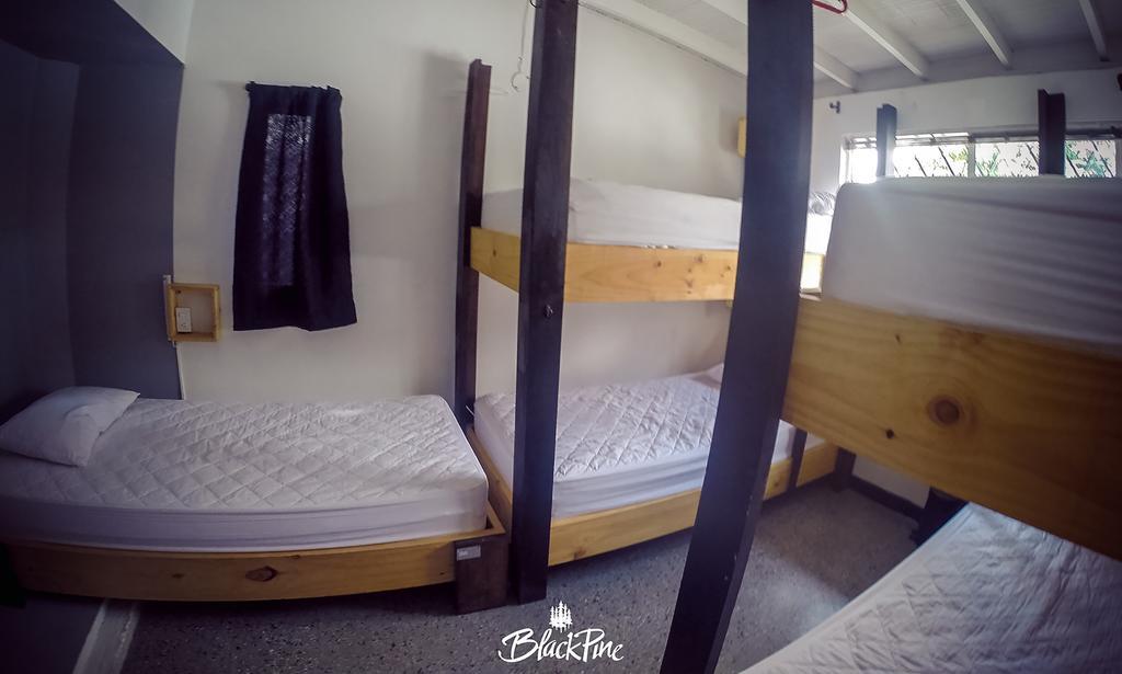 Hostal Blackpine *