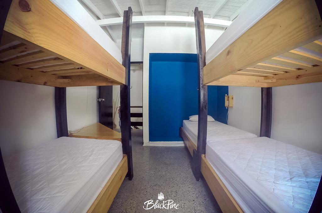 Blackpine Hostal *