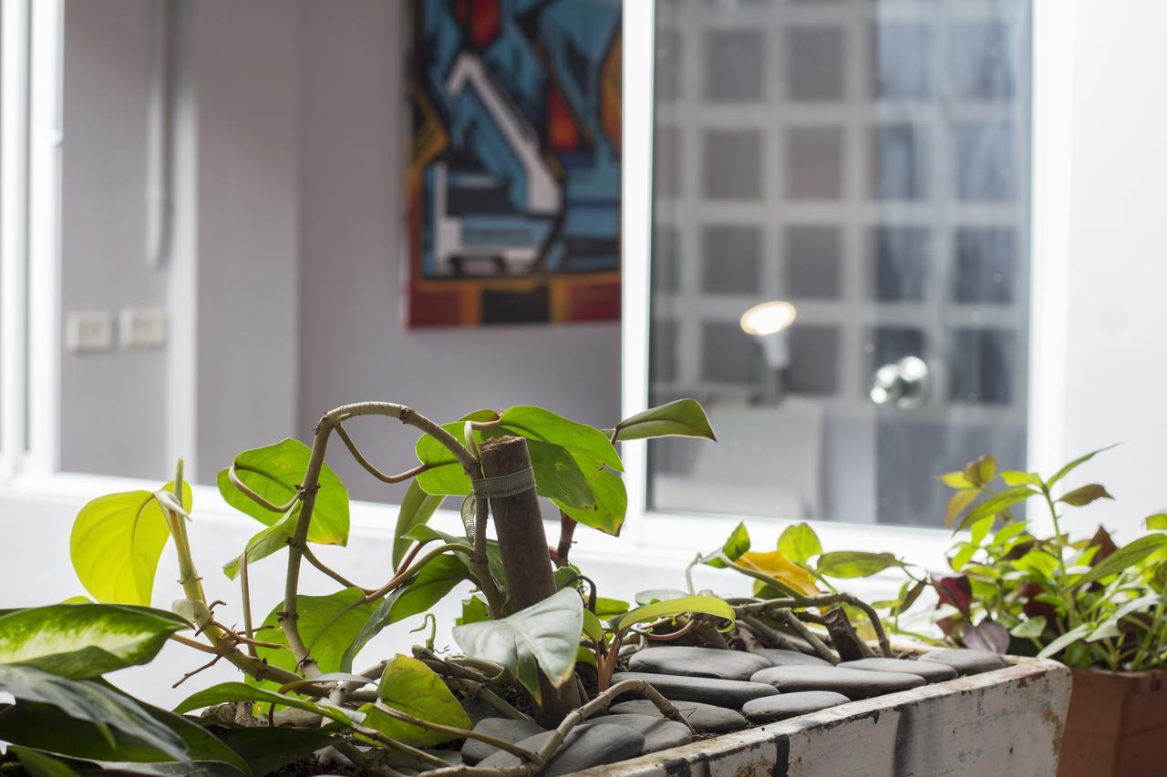 Hostal Coolto Art Medellín