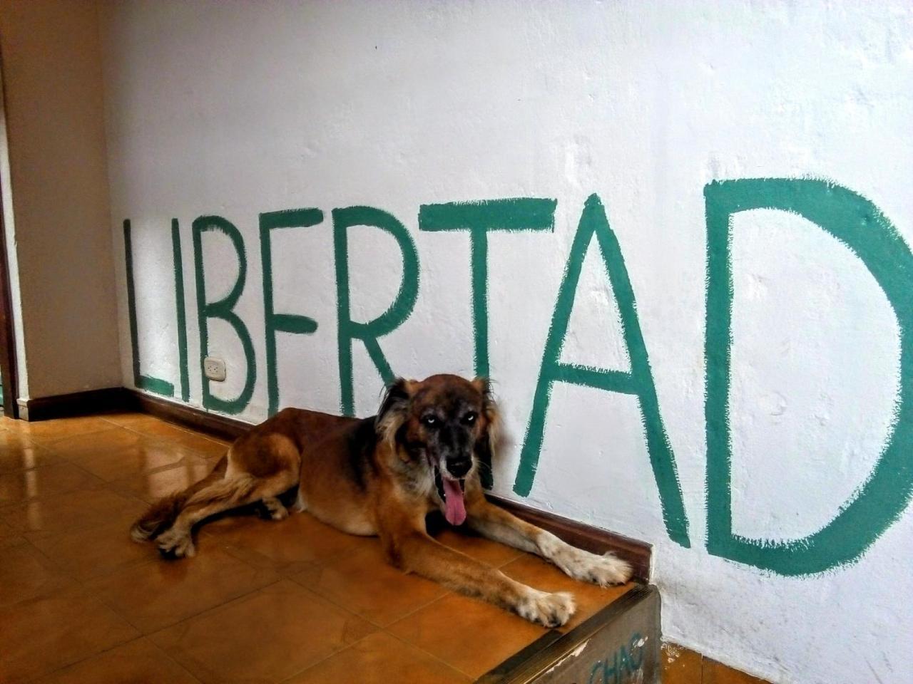 Hostal Yolo *
