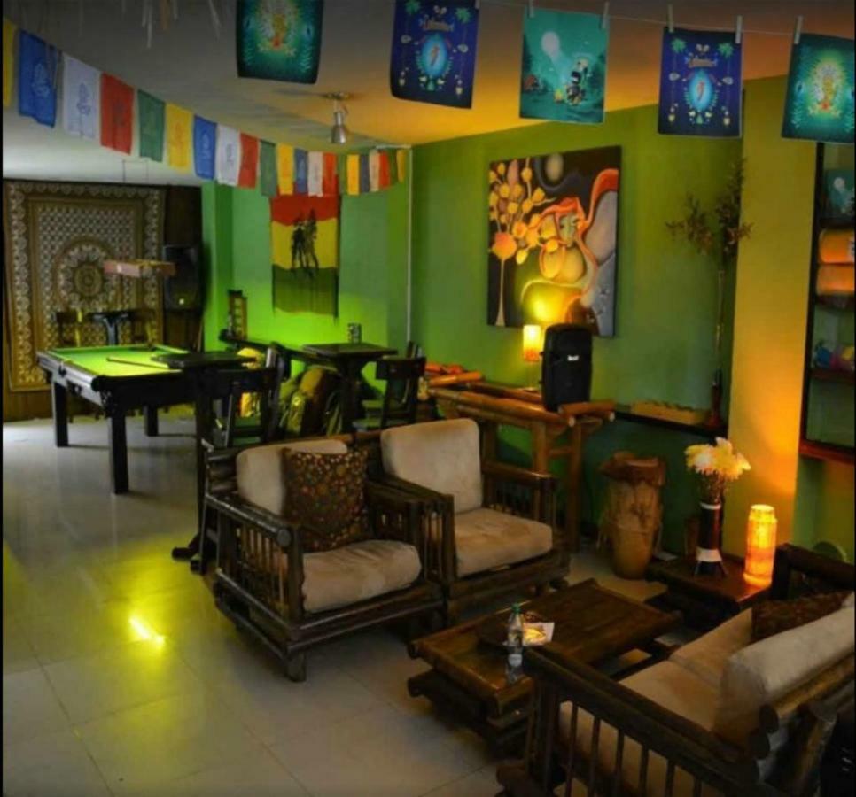 Casa Kiwi *